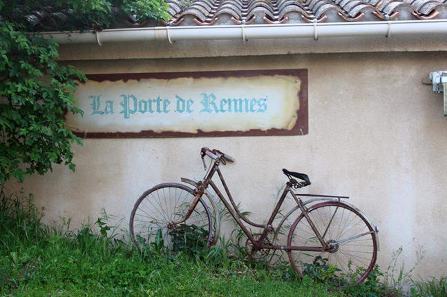 Photography Image 14